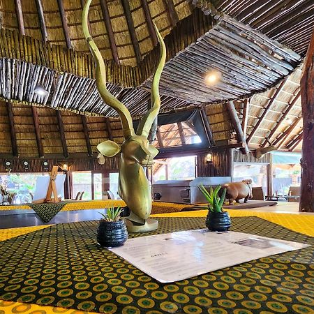 Ditholo Game Lodge Bela Bela מראה חיצוני תמונה