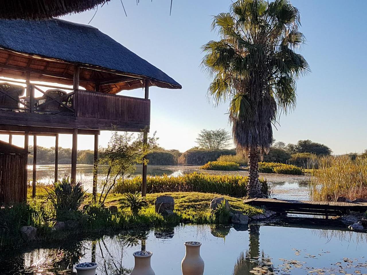 Ditholo Game Lodge Bela Bela מראה חיצוני תמונה
