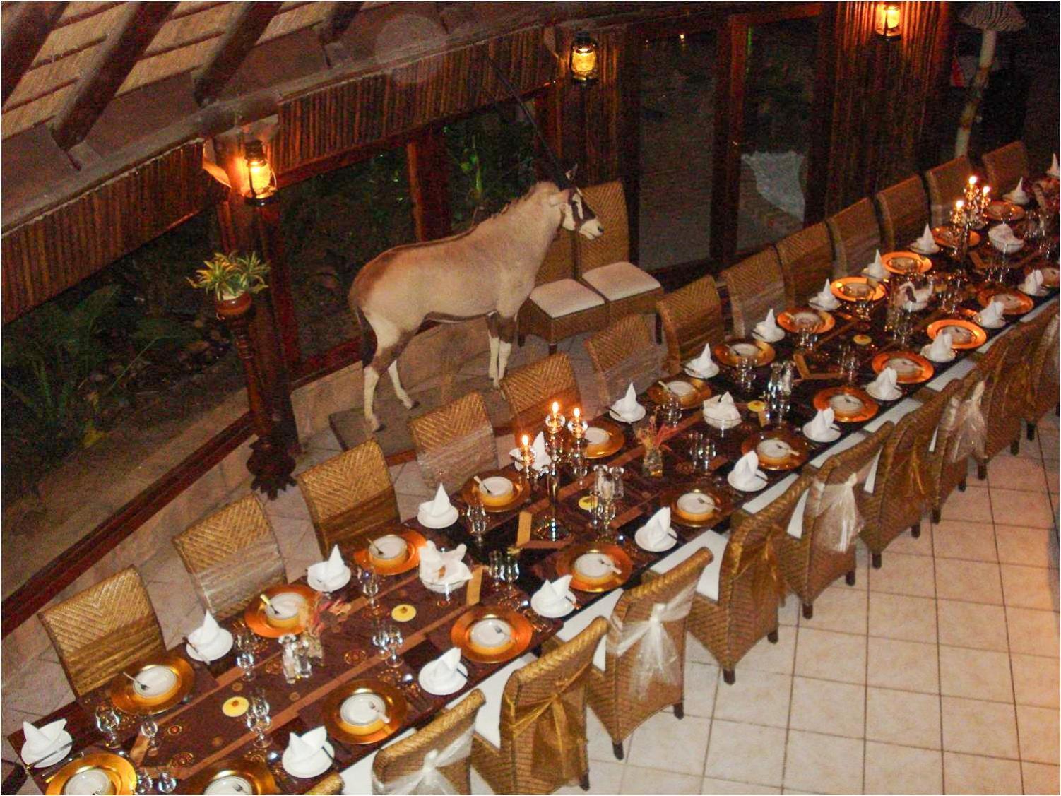 Ditholo Game Lodge Bela Bela מראה חיצוני תמונה